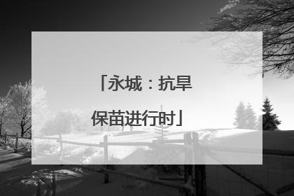 永城：抗旱保苗进行时